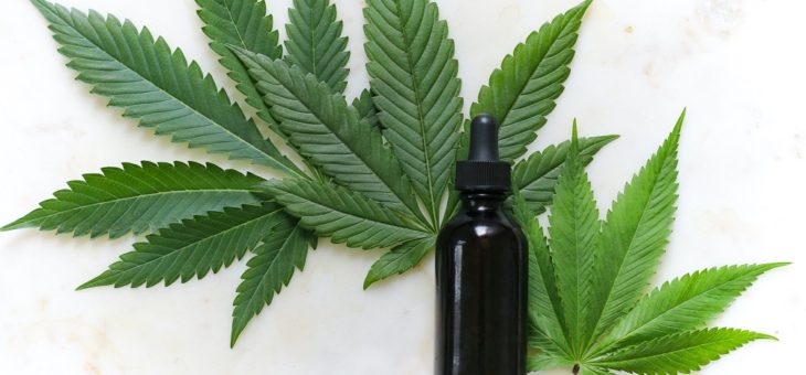 How do CBD products work?